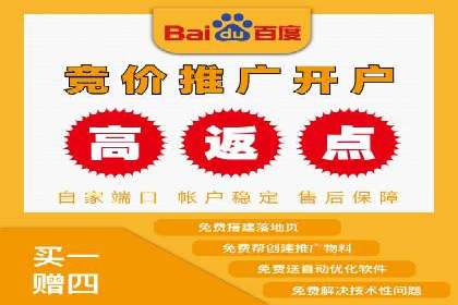 某电商平台SEM竞价广告的转化率提升案例